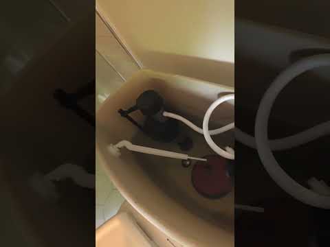 Keep Your Toilet Clean ✨